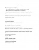 Alcoholismo y drogas. Tres etapas conducentes al alcoholismo