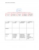 Factores del macro entorno.