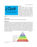 Motivos para laborar