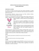 EJEMPLO DESARROLLO DE UNA EMPRESA.