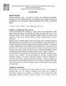 Paciente femenino SJS , 23 años de edad, con escolaridad secundaria, procedente de San Gabriel Municipio de Tezontepec, Hgo., ingresa al servicio de hospitalizacion, con un dignostico medico de embarazo de 17 SGD + amenaza de aborto.