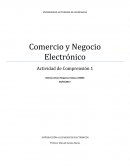 Actividad de Comprension: Comercio y Negocio Electronico.