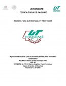 Agricultura urbana: prácticas emergentes para un nuevo urbanismo.