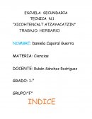 Listado de plantas medicinales y sus propiedades