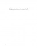 Trabajo practico: Resumen del Procesador Core i7