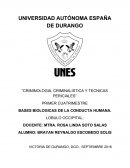 PRIMERO PROYECTO DE INVESTIGACION (NEUROTRANSMISORES).