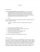 La levedad. Caso del avión