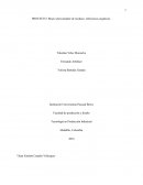 PROYECTO: Brazo seleccionador de residuos: infecciosos-orgánicos