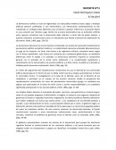 Politica - La democracia