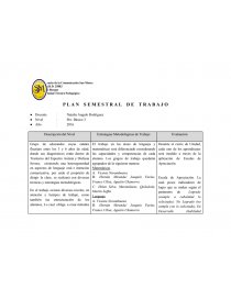 Plan primer semestre pre- básico. Página 1