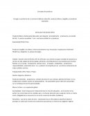 Concepto De producto.