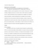 Para entender mejor hay que definir que es una Organización no Gubernamental.