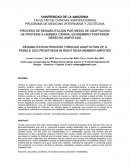 PROCESO DE REHABILITACION POR MEDIO DE ADAPTACION DE PROTESIS A HEMBRA CANINA, EN MIEMBRO POSTERIOR DERECHO AMPUTADO