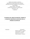 TOLERANCIA DEL RIESGO DE MUESTRA, TAMAÑO DE LA MUESTRA, MUESTREO EN AUDITORIA PARA LA PRUEBA DE CONTROLES.