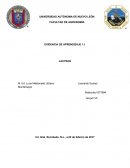 Aplicacion de tecnologias de la infomacion.