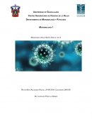 Microbiología I Monografía Virus Herpes Simple tipo 2