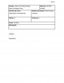 Organización computacional. Evidencia