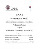Esta actividad consiste en hacer un experimento sobre algún insecticida que funcione contra algún artrópodo, en este caso lo hicimos especialmente para matar hormigas y bichos pequeños no muy duros de matar.