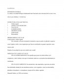La célula es la unidad biológica fundamental tanto funcional como estructural de los seres vivos.