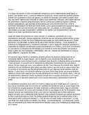 Antes de hablar de la manera en como afrontar un problema, pensemos en lo que necesitamos para esto, primero paciencia, tenemos que ser personas paciencientes ya que