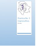 En esta practica se utilizo una muestra de materia fecal de paciente femenino de 44 años presentando síntomas de inflamación y dolor abdominal por colitis, también refiere haber padecido fiebre tifoidea hace 18 años y de tener una recaída hace 2 añ