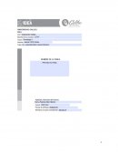 Informe Proyecto Tecnologia.