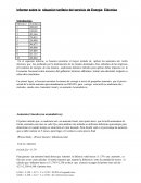 Informe sobre la situación tarifaria del servicio de Energía Eléctrica