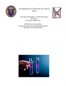 Primero que nada, hemos escogido este experimento porque se nos hizo muy curioso e interesante el saber cómo un globo pueda ser inflado con refresco. En este artículo les daremos a conocer las diferentes variables que influyen en la realización de este