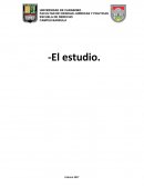 Adquiere nueva información y nuevas respuestas.