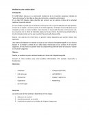 Medidor de pulso cardiaco digital