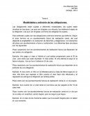 Modalidades y extinción de las obligaciones.