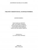 POBLACIÓN Y BIENESTAR SOCIAL: UN ENFOQUE INTERMEDIO. MICROECONOMÍA II.