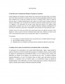 Describa como s e demuestran actitudes y los grupos en la película.