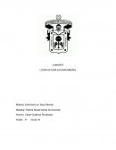 TEORIAS DE ENFERMERIA. La enfermería en salud mental