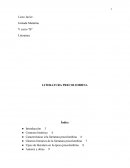 La presente investigación se refiere a la literatura precolombina, la cual se entiende como el conjunto de textos literarios en América antes de la conquista.