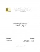 Sociología Jurídica Temas 3, 4 y 5