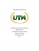 GERENCIA Y NEGOCIOS EL PROGRESO, YORO