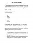 ¿Qué hay que hacer para superar la fatiga durante el acto de estudio?