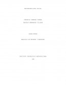 Ejercicio contabilidad financiera. RESPONSABILIDAD SOCIAL