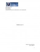 Automatización de procesos administrativos, casos empresariales.