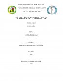 PORTOVIEJO-MANABI-ECUADOR