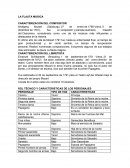 LA FLAUTA MÁGICA- CARACTERIZACIÓN DEL COMPOSITOR