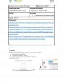 En búsqueda del Smartphone ideal