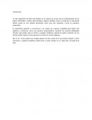 Libro el nombramiento del jefe