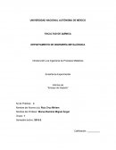 Informe de “Ensayo de Impacto”