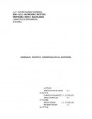 MINERALES. FUENTES DE IMPORTANCIA EN LA NUTRICIÓN.