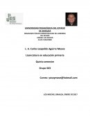 ORGANISMO PÚBLICO DESENTRALIZADO DEL GOBIERNO.