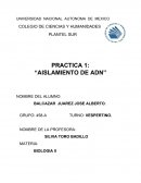 PRACTICA 1: “AISLAMIENTO DE ADN”