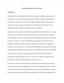 Educación de enfermería en Europa (Análisis de la historia)