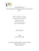 COMPRENDIENDO LOS MARCOS TEÓRICOS DE LA PSICOLOGÍA SOCIAL